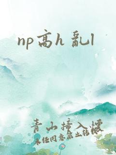 np高h 乱l