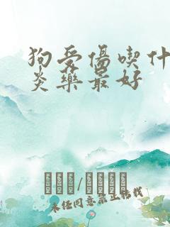 狗受伤吃什么消炎药最好