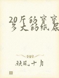 20斤的宝宝用多大的纸尿裤