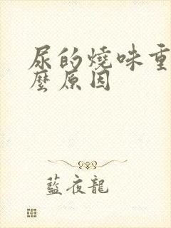 尿的烧味重是什么原因