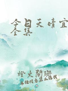 今日天晴宜爱你全集