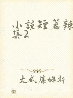 小说短篇辣文合集2