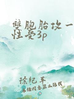双胞胎攻一受双性受3p