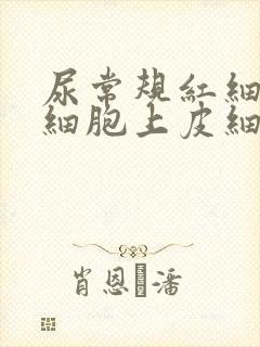 尿常规红细胞白细胞上皮细胞都高