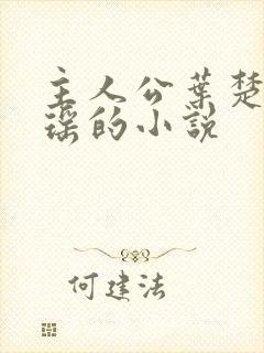 主人公叶楚姜君瑶的小说