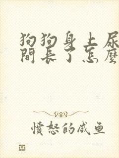 狗狗身上尿渍时间长了怎么去除