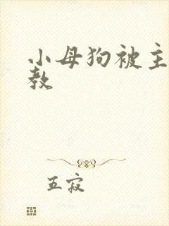 小母狗被主人调教