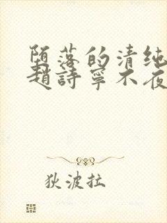 堕落的清纯校花赵诗宁不夜之城笔趣