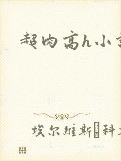 超肉高h小说