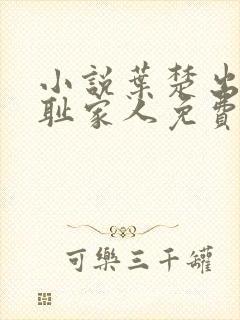 小说叶楚出狱无耻家人免费阅读