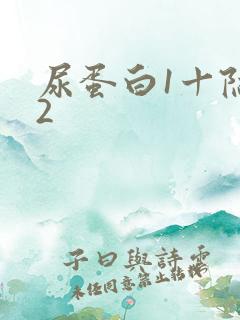 尿蛋白1十隐血2