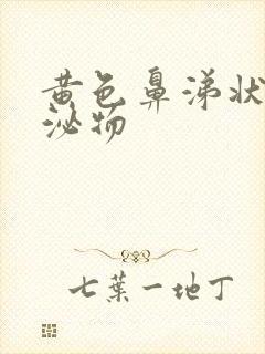 黄色鼻涕状的分泌物