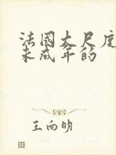 法国大尺度电影未成年的