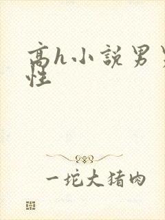 高h小说男男双性