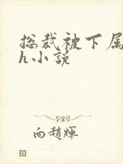 总裁被下属调教h小说