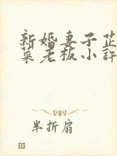 新婚妻子芷珊和菜老板小许小说