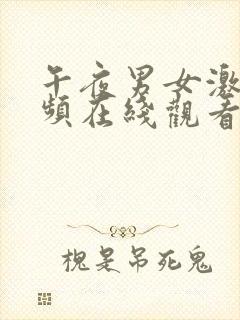 午夜男女激情视频在线观看