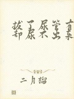 拔了尿管有尿意却尿不出来