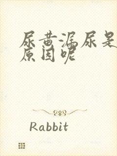 尿黄漏尿是什么原因呢