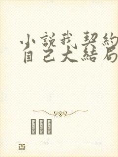 小说我契约了我自己大结局