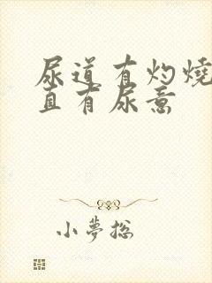 尿道有灼烧感一直有尿意