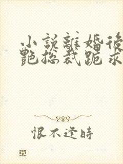 小说离婚后,冷艳总裁跪求复婚在线阅读