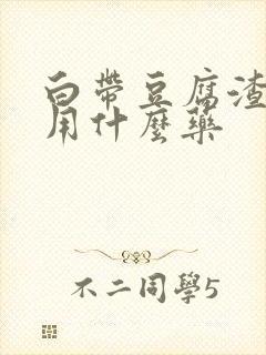 白带豆腐渣异味用什么药