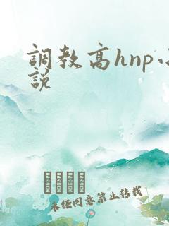 调教高hnp小说