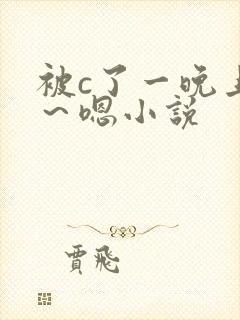 被c了一晚上啊～嗯小说