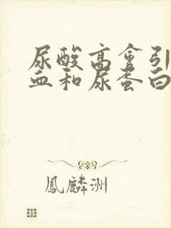 尿酸高会引起隐血和尿蛋白吗