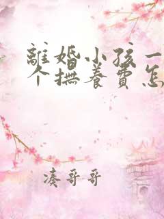 离婚小孩一人一个抚养费怎么算