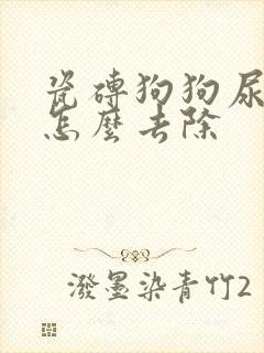 瓷砖狗狗尿骚味怎么去除