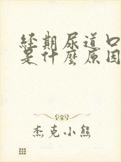 经期尿道口瘙痒是什么原因