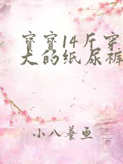 宝宝14斤穿多大的纸尿裤