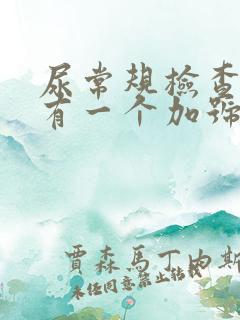 尿常规检查隐血有一个加号