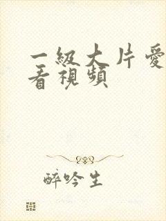 一级大片爱爱试看视频