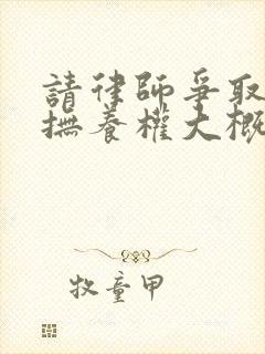 请律师争取孩子抚养权大概要多少钱