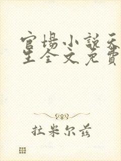 官场小说天眼人生全文免费阅读