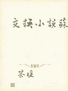 交换小说苏玛丽