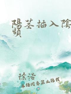 阳茎插入阴道视频