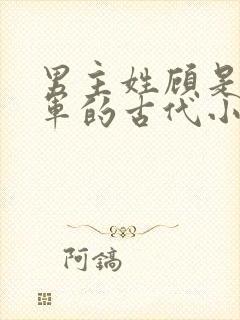 男主姓顾是个将军的古代小说