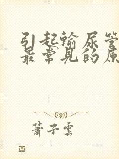 引起输尿管结石最常见的原因是什么