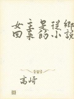 女主是从乡下接回来的小说