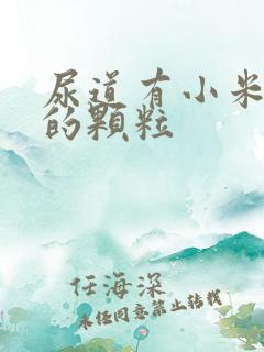 尿道有小米粒大的颗粒