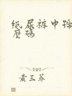 纸尿裤中号是什么码