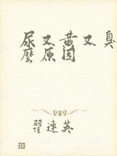 尿又黄又臭是什么原因