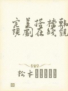 完美搭档韩剧电视剧在线观看全集高