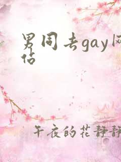 男同去gay网站