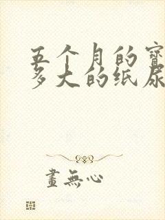 五个月的宝宝穿多大的纸尿裤