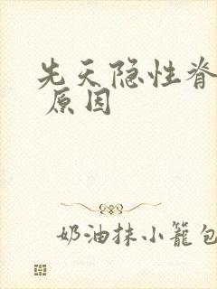 先天隐性脊柱裂 原因